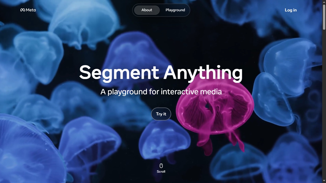 Segment Anything Playground (Isolating Objects in Images and Video)