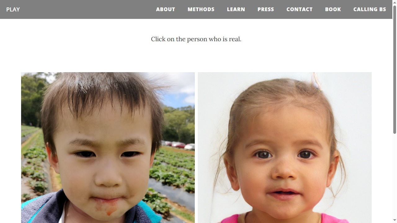 Which Face is Real?